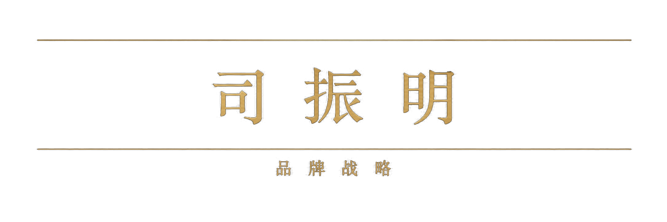 司振明品牌战略
